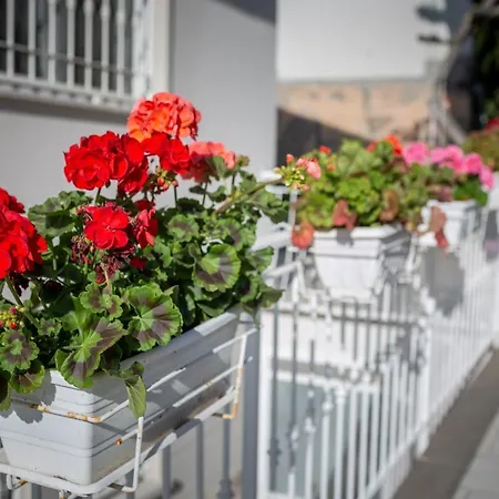 Saint Joseph Guest house Livorno